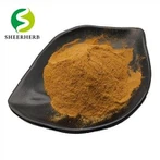 Nuciferino lotoso lapų ekstraktas