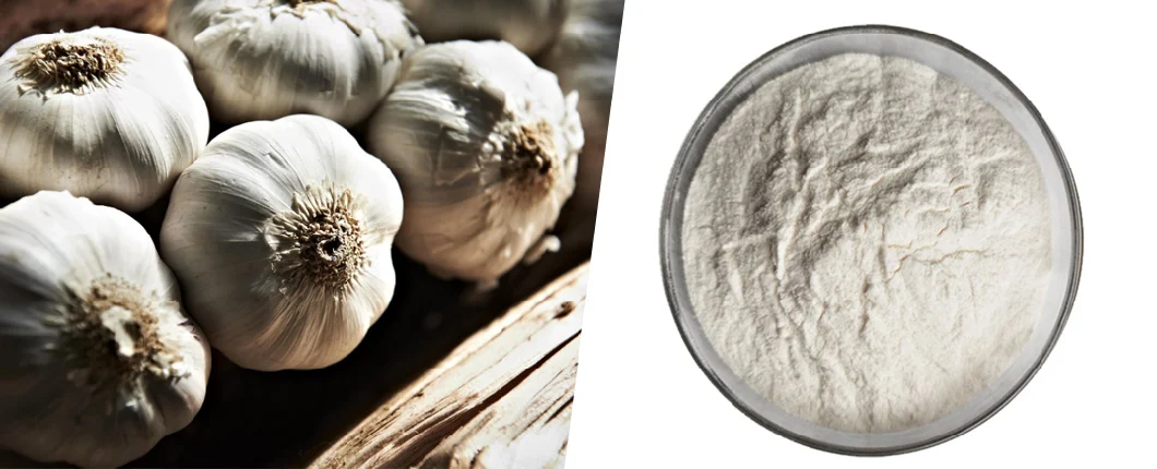 Free Sample Best Garlic Extract CAS 539-86-6 Deodorized Garlic Extract Powder