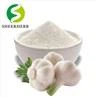 Garlic Extract Powder